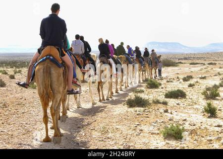 Israël, désert du Néguev, Mamshit la ville nabatéenne de Memphis, reconstitution de la vie dans la période nabatéenne.Les touristes se rendent sur un convoi de chameaux suivant t Banque D'Images