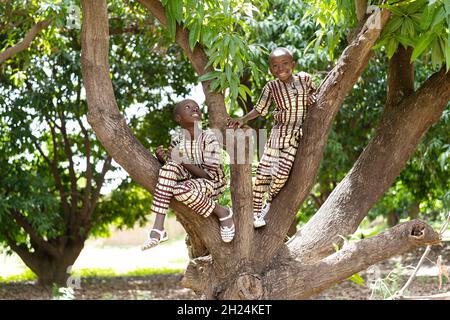 Deux petits frères noirs africains mignons en deux vêtements s'amusant tout en grimpant tranquillement sur un manguier Banque D'Images