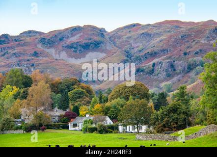 Cottages pittoresques à Walthwaite, dans Great Langdale Beck, près de Elter Water et Chapel Stile, parc national de Lake District, Cumbria, Angleterre, Royaume-Uni Banque D'Images