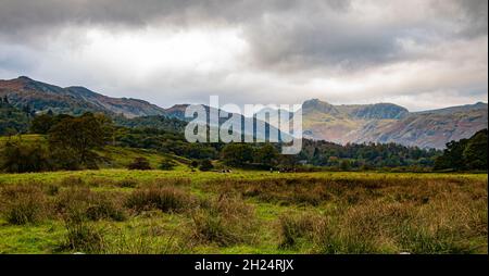 Magnifique vue panoramique sur Great Langdale et les Pikes depuis Elter Water, Lake District National Park, Cumbria, Angleterre, Royaume-Uni Banque D'Images