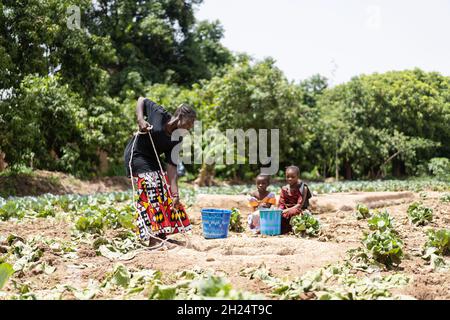 Groupe de filles noires qui collectent de l'eau dans un trou d'eau rural en Afrique de l'Ouest; concept de pénurie d'eau Banque D'Images