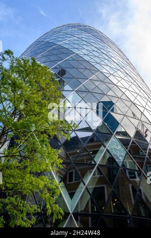 Un puits de ciel donne sur la façade incurvée du bâtiment Gherkin avec un arbre en premier plan à City of London, en Angleterre. Banque D'Images