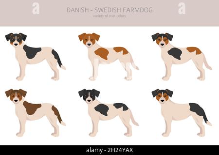 Falaise de ferme danoise suédoise.Différentes poses, ensemble de couleurs de pelage.Illustration vectorielle Illustration de Vecteur