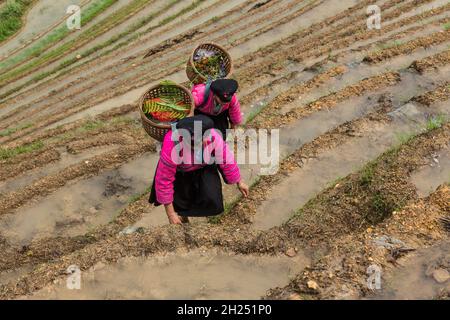 Deux femmes de la minorité ethnique de Red Yao dans l'areaa de Ping'an des terrasses de riz de Longshen en Chine. Banque D'Images