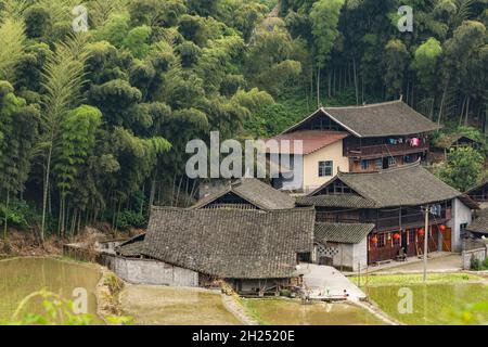 Fermes chinoises traditionnelles et rizières nouvellement plantées dans la campagne du Hunan, en Chine. Banque D'Images