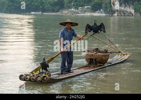 Un pêcheur cormorant avec cormorans sur un radeau de bambou sur la rivière Li.Xingping, Chine. Banque D'Images