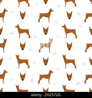 Motif Pinscher allemand sans coutures.Différentes poses, ensemble de couleurs de pelage.Illustration vectorielle Illustration de Vecteur