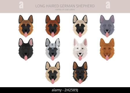 Chien de berger allemand à poil long dans différentes couleurs de pelage clipart.Illustration vectorielle Illustration de Vecteur