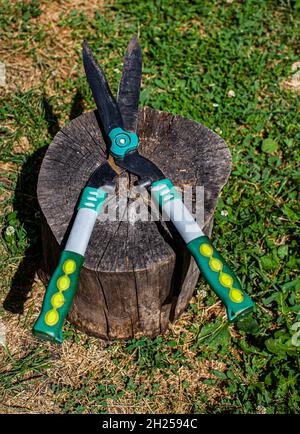 cisaille de jardin couchée sur une souche d'arbre contre un fond d'herbe.Photo de haute qualité Banque D'Images