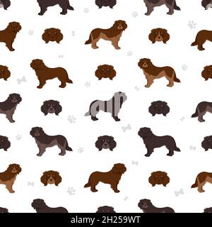 Motif spaniel allemand sans coutures.Différentes poses, ensemble de couleurs de pelage.Illustration vectorielle Illustration de Vecteur