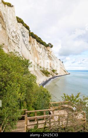 Falaises de craie de Møn, Danemark, vue depuis les escaliers jusqu'à la plage. Banque D'Images