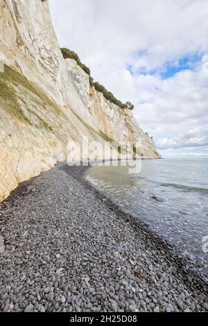 Célèbres falaises de craie blanche de Møn, Danemark Banque D'Images