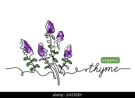 Dessin d'esquisse vectoriel simple de thym.Une illustration de dessin en continu pour la conception d'étiquettes avec du thym lettrage Illustration de Vecteur