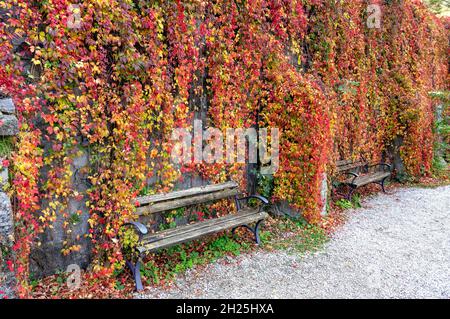 Bancs dans beau jardin suspendu coloré du Palais à Lillafured Hongrie automne saison automne dans le parc national de Bukk Banque D'Images