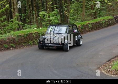 Course de Minis à Wiscombe Park Hillgrimpez dans Devon, Royaume-Uni.Tous sont spécialement modifiés pour s'adapter aux exigences de la course contre la montre sur un sprint en montée de 900 yards Banque D'Images