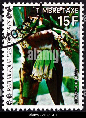 COMORES - VERS 1977 : un timbre imprimé aux Comores montre Blooming Banana, Floraison, vers 1977 Banque D'Images