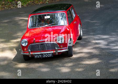 Course de Minis à Wiscombe Park Hillgrimpez dans Devon, Royaume-Uni.Tous sont spécialement modifiés pour s'adapter aux exigences de la course contre la montre sur un sprint en montée de 900 yards Banque D'Images