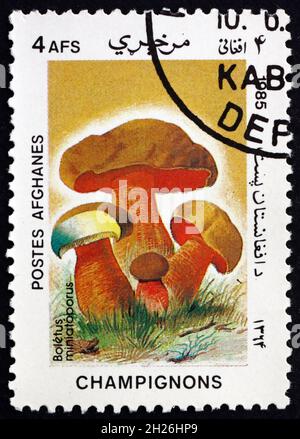 AFGHANISTAN - VERS 1985 : un timbre imprimé en Afghanistan montre boletus miniatoporus, champignon, vers 1985 Banque D'Images