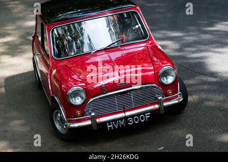 Course de Minis à Wiscombe Park Hillgrimpez dans Devon, Royaume-Uni.Tous sont spécialement modifiés pour s'adapter aux exigences de la course contre la montre sur un sprint en montée de 900 yards Banque D'Images