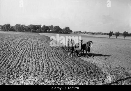 AGRICULTURE au printemps, les champs sont moissonnés avant le semis Banque D'Images