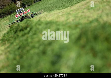 Wenden eines frisch geschnittenen Grases auf einer Wiese - tourner une herbe fraîchement coupée dans un pré Banque D'Images