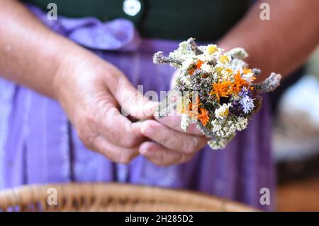 Traditionelle Kräuterweihe und Kräuterbuschen Tag Mariä Himmelfahrt (15.Août) - consécration traditionnelle des herbes et buissons d'herbes le jour de l'Assomption ( Banque D'Images