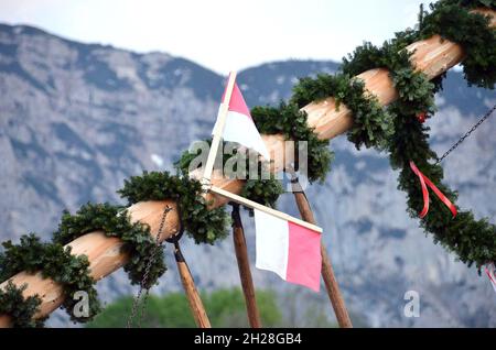 Maibaum-Aufstellen in Steinbach, Attersee (Bezirk Vöcklabruck, Oberösterreich, Österreich) - Ein Maibaum ist ein geschmückter Baum oder Baumstamm, der Banque D'Images