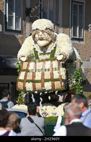 Im Ausseerland – Salzkammergut blüht die weiße sternblütige Narzisse, auch Stern-Narzisse genannt, je nach Höhenlage von Mitte Mai bis Mitte Juni. Jed Banque D'Images