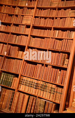 Der Prunksaal der österreichischen Nationalbibliothek in Wien, Österreich, Europa - la salle d'Etat de la Bibliothèque nationale autrichienne à Vienne, Autriche Banque D'Images