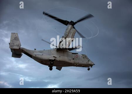 Les Marines des États-Unis avec la Force de RAID maritime (MRF) transitent sur un MV-22B Osprey de l'installation d'entraînement IE Shima au Camp Schwab, Okinawa, Japon, après avoir effectué des opérations de parachutisme le 21 septembre 2021.Les Marines avec la FRM maintiennent la compétence de saut dans les situations réelles où ils sont tenus d'utiliser le freefall militaire comme capacité d'insertion.La 31e unité expéditionnaire maritime (UMM), la seule unité de défense permanente déployée en avant du corps des Marines, fournit une force flexible et mortelle prête à exécuter un large éventail d’opérations militaires en tant que première force de réponse à la crise dans la région Indo-Pacifique. Banque D'Images