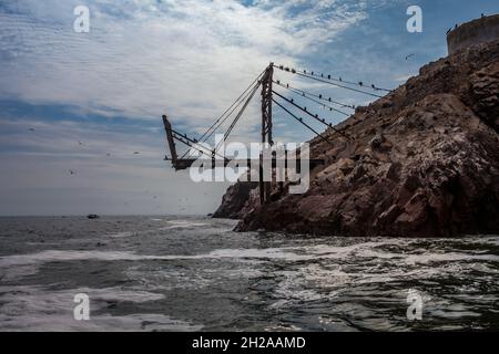 Îles Ballestas Pérou Banque D'Images