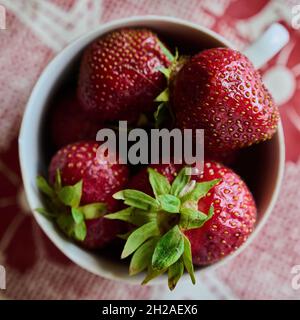 les fraises mûres sont récoltées dans le jardin dans des bols en gros plan Banque D'Images