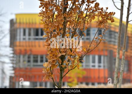 Gebäude der Wirtschaftsuniversität à Vienne - Construction de l'Université d'Economie à Vienne Banque D'Images