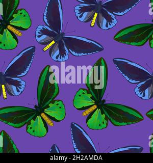 Motif sans couture avec de grands papillons tropicaux colorés, de la queue d'oiseau et de la queue d'oiseau, de la papilio et de l'ornitoptera papilionidae.