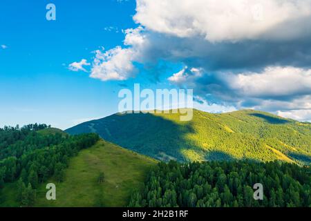 Vue aérienne de la montagne et de la forêt verte avec de l'herbe dans la zone pittoresque de Kanas, Xinjiang, Chine. Banque D'Images