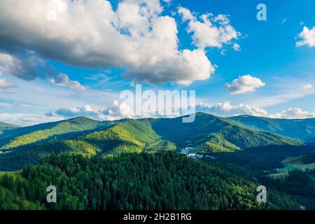 Vue aérienne de la montagne et de la forêt verte avec de l'herbe dans la zone pittoresque de Kanas, Xinjiang, Chine. Banque D'Images