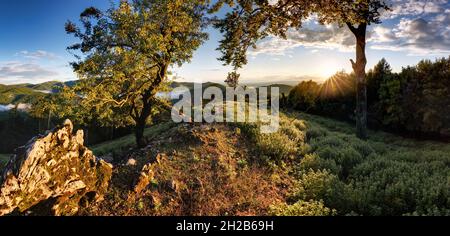 Paysage de montagne vert avec soleil - panorama, Slovaquie Banque D'Images