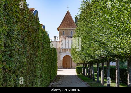 Le Château d'Yquem à Sauternes est l'un des domaines viticoles les plus exquis au monde... et les plus chers... pour la France Banque D'Images