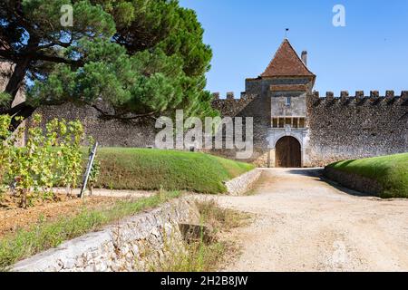 Le Château d'Yquem à Sauternes est l'un des domaines viticoles les plus exquis au monde... et les plus chers... pour la France Banque D'Images