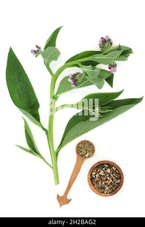 Feuilles et racines d'herbe de comfrey utilisées en phytothérapie pour traiter les problèmes de peau, y compris les brûlures, l'enflure, les entorses, les ecchymoses. Banque D'Images