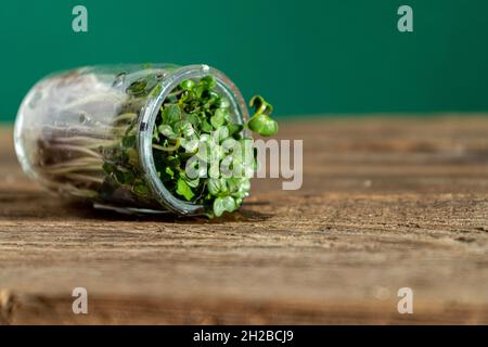 Croissance microverte.Pots en verre avec germes de luzerne, radis, laitue, chou sur un socle en bois.Graines germinantes pour la nourriture écologique végétalienne.Jardinage à la maison.Concept organique.Ferme urbaine.Microgreens. Banque D'Images