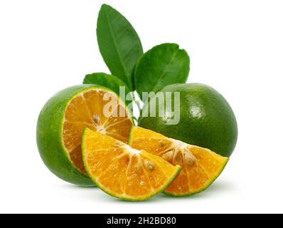 Calamansi ou fruits orange verts isolés sur fond blanc Banque D'Images