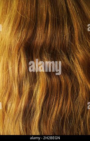 Cheveux longs et naturels ondulés bruns.Vue arrière. Banque D'Images