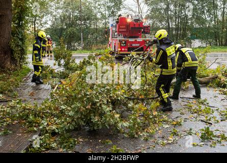21 octobre 2021, Schleswig-Holstein, Neu-Börnsen: Les pompiers ont dégagé les parties d'un arbre de la route.Avec la basse pression 'Ignatz', la première forte tempête d'automne de l'année se déplace au-dessus de l'Allemagne.Photo: Daniel Bockwoldt/dpa Banque D'Images
