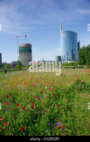 Milan, Italie - fleurs dans le jardin de printemps dans la Bibliothèque du parc des arbres de la place Gae Aulenti Banque D'Images