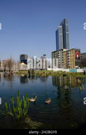 Milan, Italie dans l'étang de la Biblioteca degli Alberi Park, piazza Gae Aulenti, une paire de canards allemands (Anas platyrhynchos). Banque D'Images