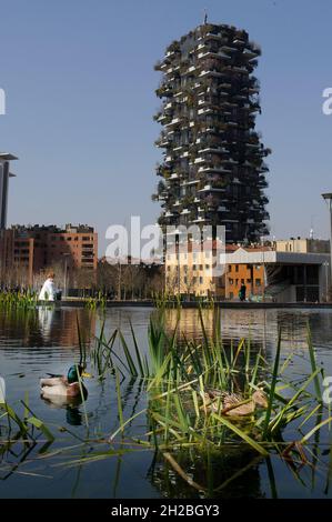 Milan, Italie dans l'étang de la Biblioteca degli Alberi Park, piazza Gae Aulenti, une paire de canards allemands (Anas platyrhynchos). Banque D'Images