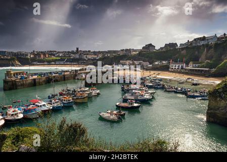 Des bateaux de pêche amarrés dans le pittoresque port de Newquay, dans les Cornouailles. Banque D'Images