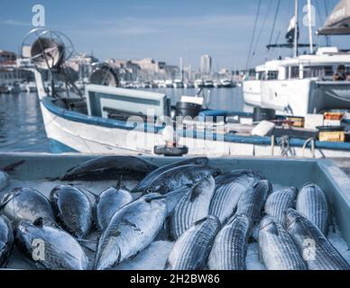 Marché de pêche avec thon sur table et bateau de pêche en arrière-plan - Marseille Vieux port Banque D'Images