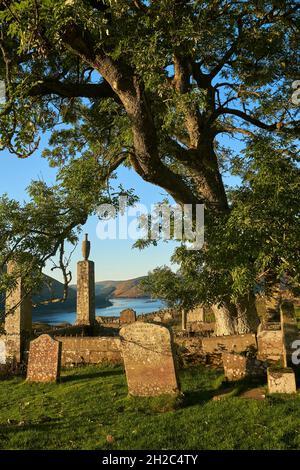 Tôt le matin, la lumière joue sur un vieux frêne dans St. Mary's Kirkyard par St.Mary's Loch.Créer une présélection Woodland Trust Tree de l'année 2021. Banque D'Images